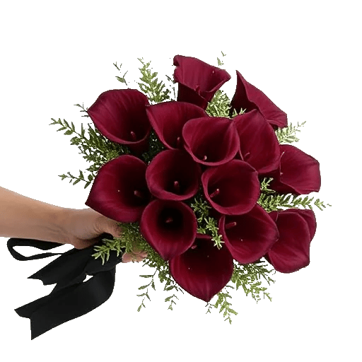 Elegant Calla Lilies