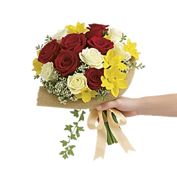 Crimson Rose Elegance