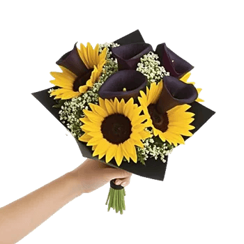 Elegant Calla Lilies