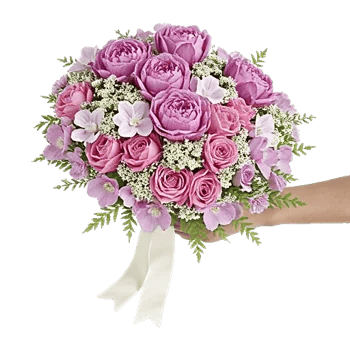 Delicate Petal Cascade