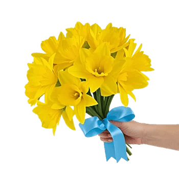 Radiant Bloom Cascade