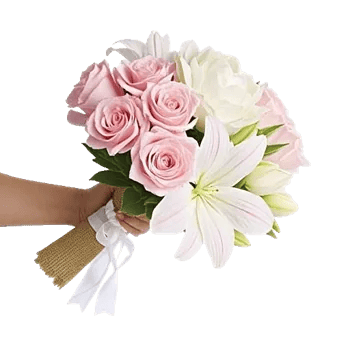 Blossom Petal Serenity