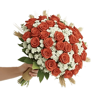Blushing Rose Symphony