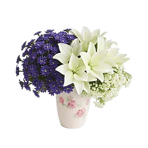 Ivory Blossom Radiance