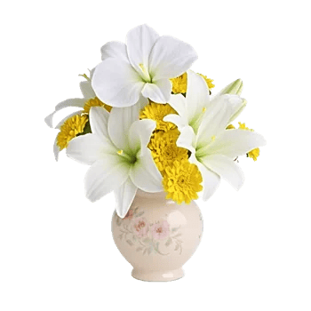 Modern White Orchids