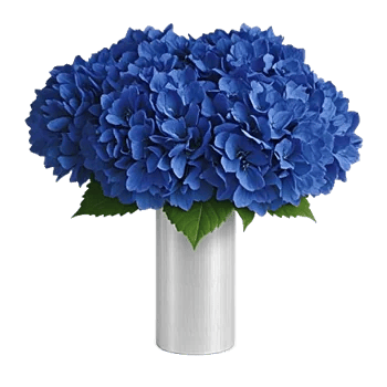 Sapphire Bloom Whisper