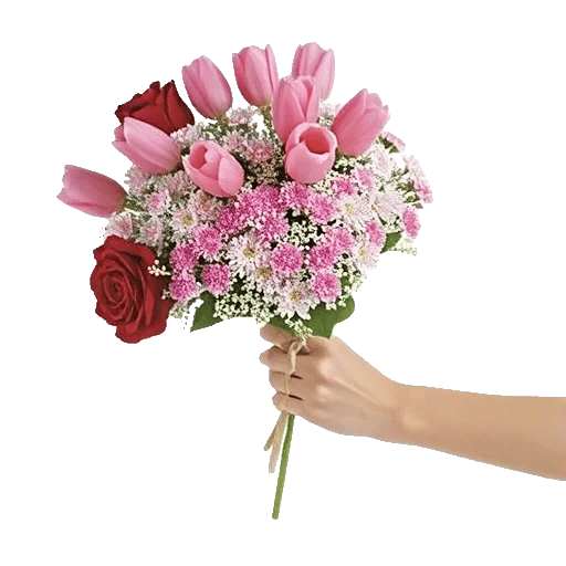 Blossom Harmony Display