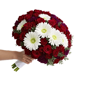 Crimson Rose Elegance