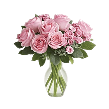 Blushing Rose Symphony