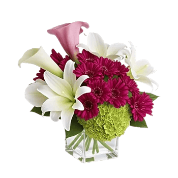 Elegant Calla Lilies