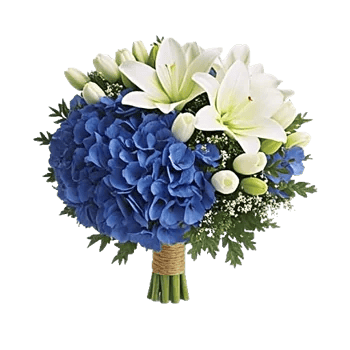 Ivory Blossom Radiance