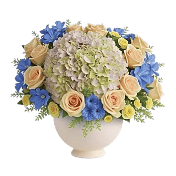 Ivory Blossom Radiance