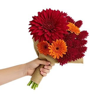 Crimson Blossom Harmony