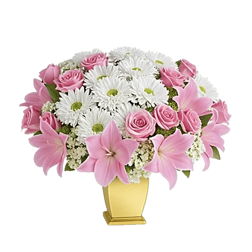 Blossom Harmony Display