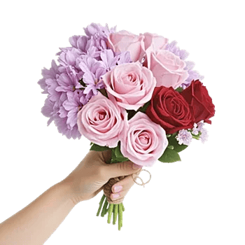 Petal Softness Display