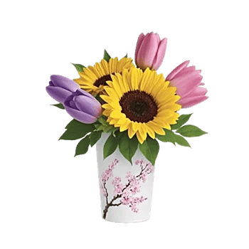 Velvet Tulip Display