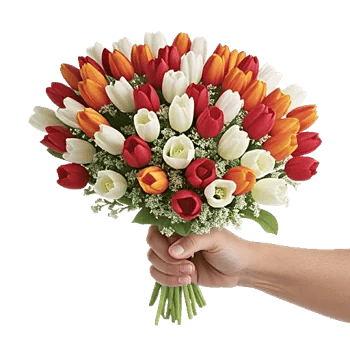 Velvet Tulip Display