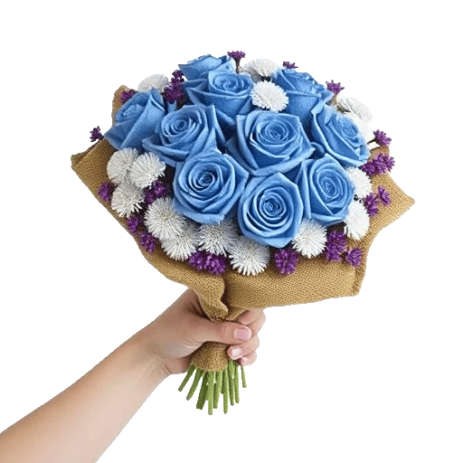 Elegant Blue Roses