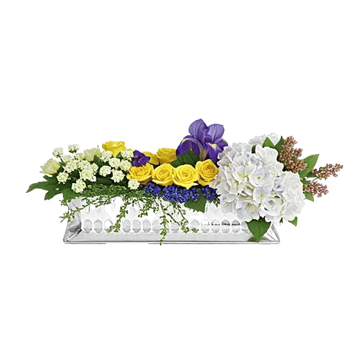 Ivory Blossom Radiance