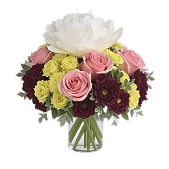 Petal Radiance Bliss