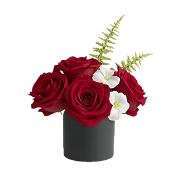 Crimson Blossom Harmony