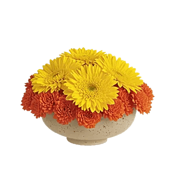 Golden Petal Harmony