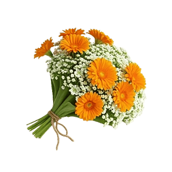 Petal Harmony Bliss