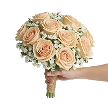 Pastel Pink Roses