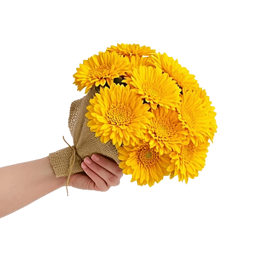 Golden Petal Harmony