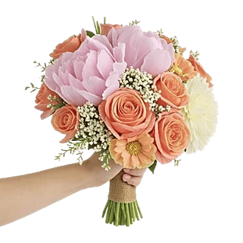 Ivory Blossom Radiance