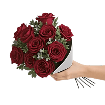 Crimson Rose Elegance