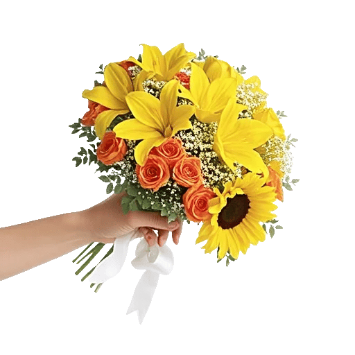 Blossom Harmony Display