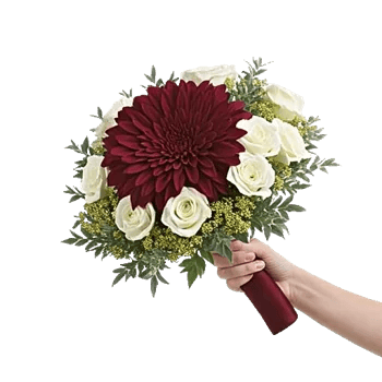 Regal Burgundy Display