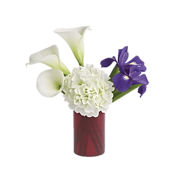 Elegant Calla Lilies