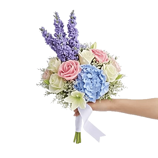 Delicate Petal Cascade