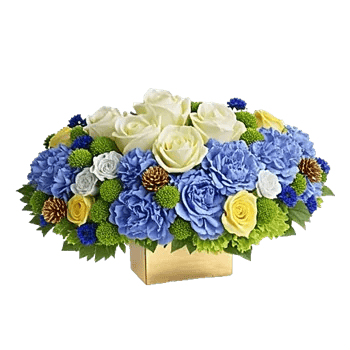 Ivory Blossom Radiance