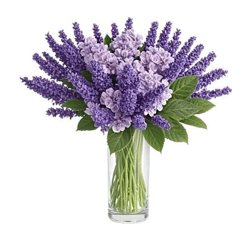 Lavender Bloom Grace