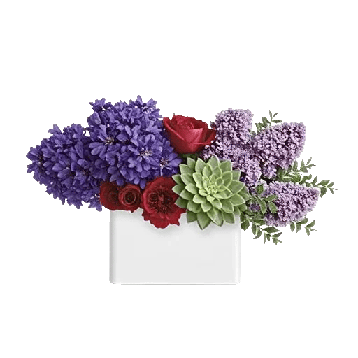 Lavender Bloom Grace