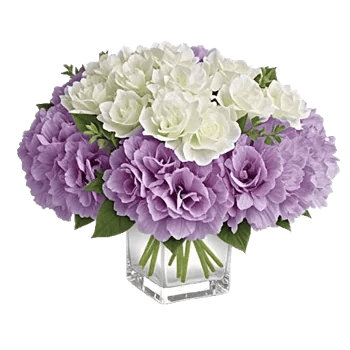 Serene Petal Harmony