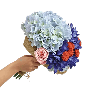 Sapphire Bloom Whisper