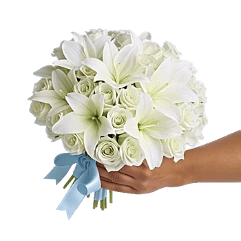 Ivory Garden Grace