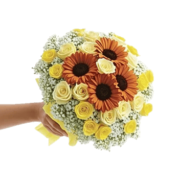 Blushing Rose Symphony