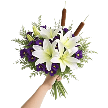 Blossom Harmony Display