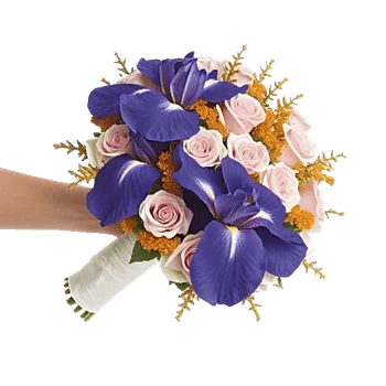 Ivory Blossom Radiance