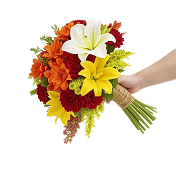 Delicate Petal Cascade