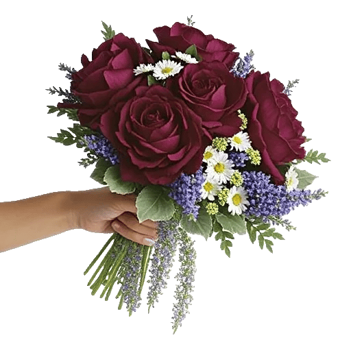 Serene Petal Harmony