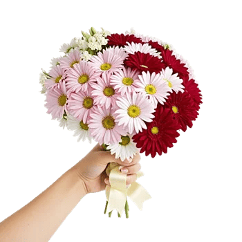 Delicate Petal Cascade