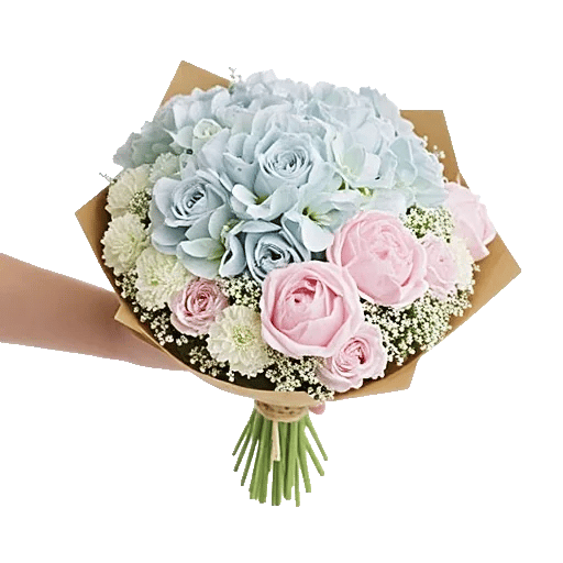 Serene Petal Harmony