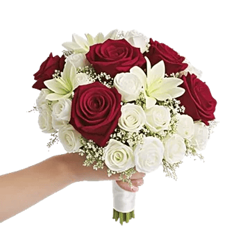 Crimson Rose Elegance