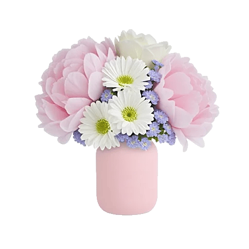 Petal Radiance Bliss